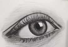 इतालवी कहानी-जिगरी यार-लुइगी पिरांदेलो persons eye in grayscale