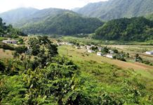 उत्तराखंड की लोक गाथाएँ : जागर के संदर्भ में-दिवाकर भटेले nature, india, jungle